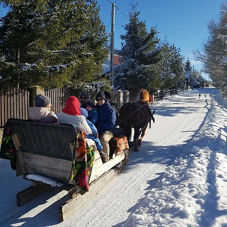 Pension Doru 贝里斯 外观 照片